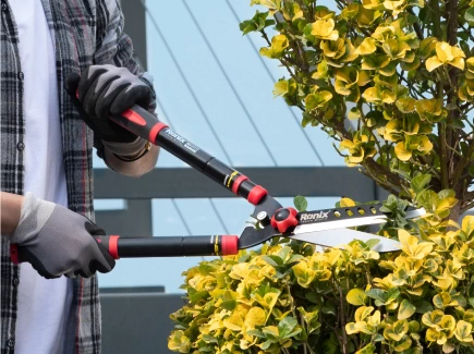 pruning-shear