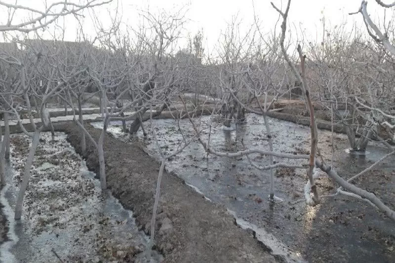 یخ آب زمستانی