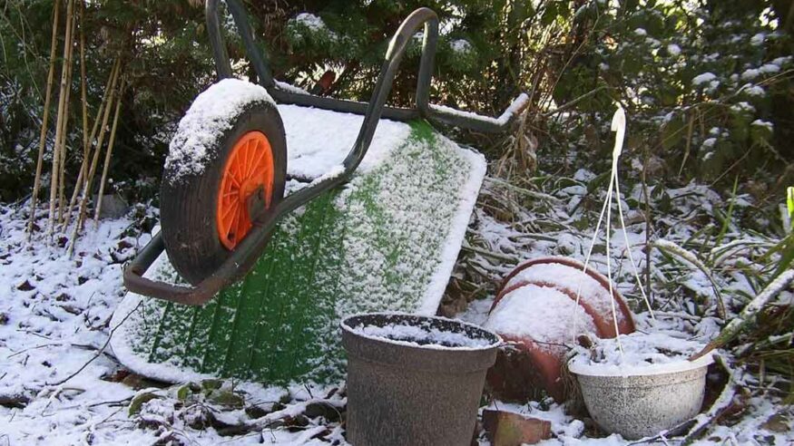 اصولی‌ترین روش باغداری در زمستان